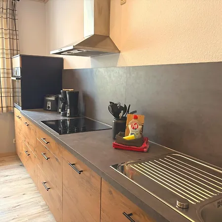 Apartament Appartements Gahler - Ferienwohnung Mit Privater Sauna Im Herzen Oberwiesenthals